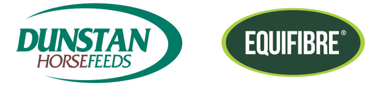 Sponsor